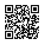 100B101KT500XT QRCode