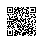 100DP4T2B3M1QEH QRCode