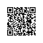 101C393U063BE2B QRCode