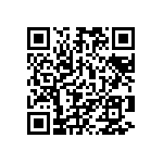 101C513U100DF2B QRCode