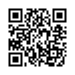 11-38 QRCode