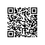 110-99-424-41-001000 QRCode