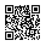 11006009501 QRCode