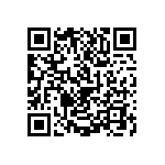 1111J1K00240JQT QRCode