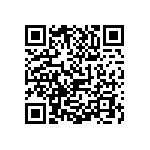 1111J2005P60DQT QRCode