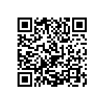 1111J2K00430KQT QRCode