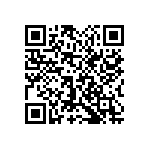 1111Y1002P70BQT QRCode