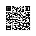 1111Y1003P30DQT QRCode