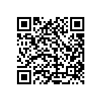 1111Y1K00160GQT QRCode