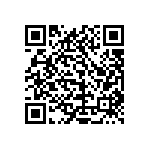 1111Y1K00360GQT QRCode