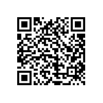 1111Y1K01P10DQT QRCode