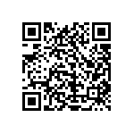 1111Y1K01P60CQT QRCode