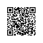 1111Y1K02P20HQT QRCode