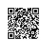 1111Y1K03P60DQT QRCode