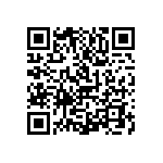 1111Y1K03P90DQT QRCode