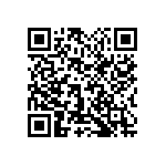 1111Y1K04P30CQT QRCode