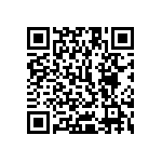 1111Y1K06P80BQT QRCode