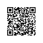 1111Y2002P40BQT QRCode