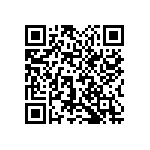 1111Y2004P30HQT QRCode