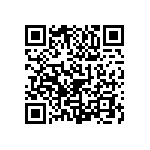 1111Y2500111GQT QRCode