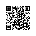 1111Y2500300JQT QRCode