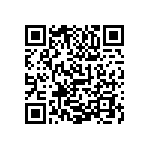 1111Y2506P20CQT QRCode