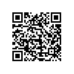 1111Y250P300CQT QRCode