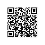 1111Y3000110GQT QRCode