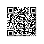 1111Y3000201KQT QRCode