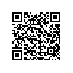 1111Y3000911KQT QRCode