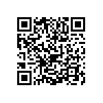 1111Y3001P40DQT QRCode