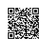 1111Y3001P60DQT QRCode