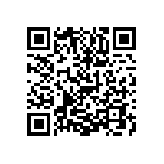 1111Y3002P20DQT QRCode