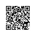 1111Y3006P20BQT QRCode