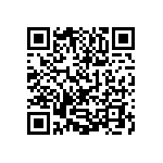 1111Y300P500HQT QRCode