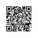 1111Y300P800CQT QRCode