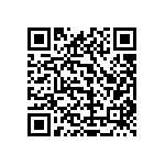 1111Y5000161KQT QRCode