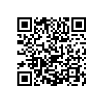 1111Y5001P30HQT QRCode