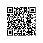 1111Y5002P20DQT QRCode