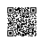 1111Y5006P20BQT QRCode