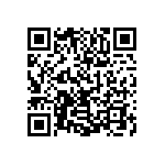 1111Y500P900DQT QRCode