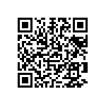 1111Y6303P30HQT QRCode