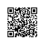 1206Y0638P20DQT QRCode