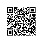 1206Y2K00271KXR QRCode