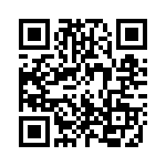 121010100 QRCode