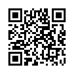 12101C223JAT2A QRCode