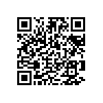 1210J0250333JDT QRCode