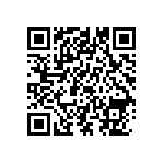 1210Y0160393KCR QRCode