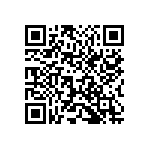 1210Y0250105KXT QRCode