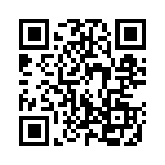 130118 QRCode